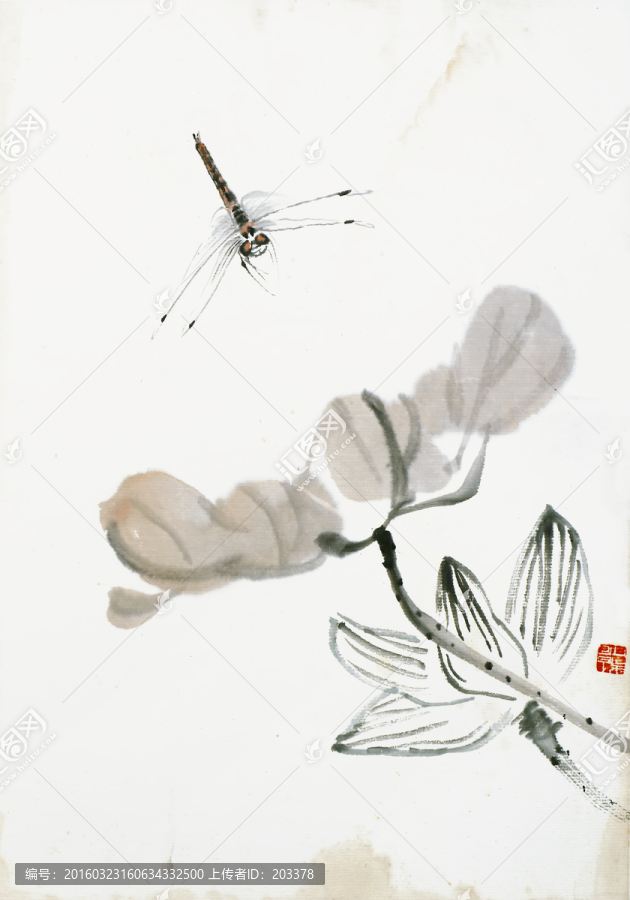齊白石,蜻蜓花蟲高清作品