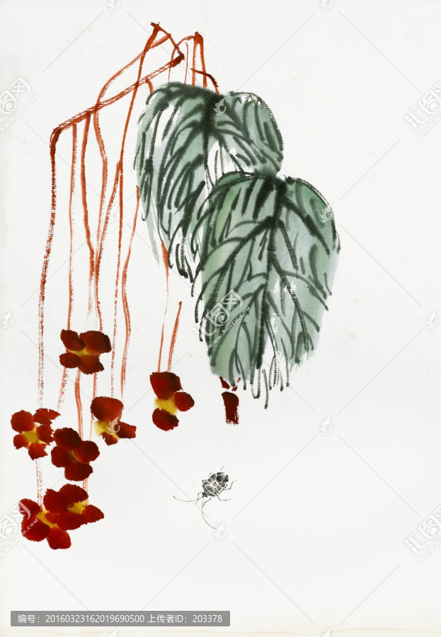 齊白石,花蟲水墨高清作品