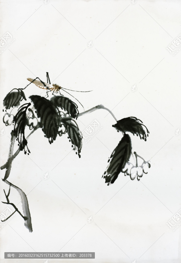 齊白石,螞蚱水墨高清作品