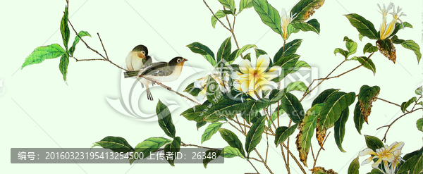 植物花鳥圖