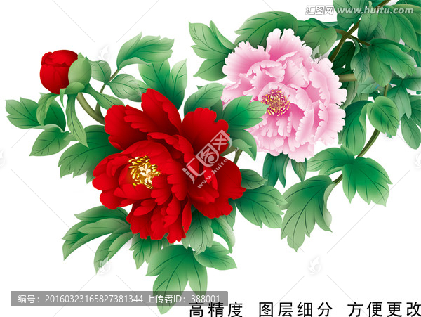 富貴牡丹