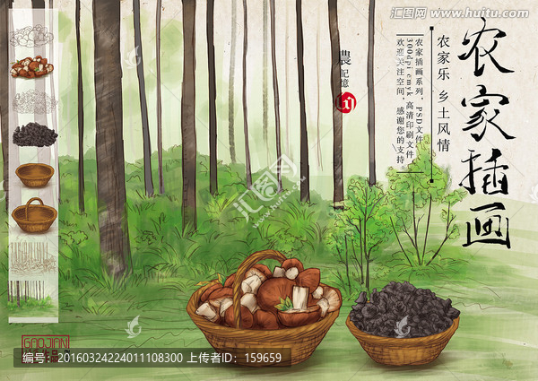 樹林,蘑菇,木耳,山林插畫