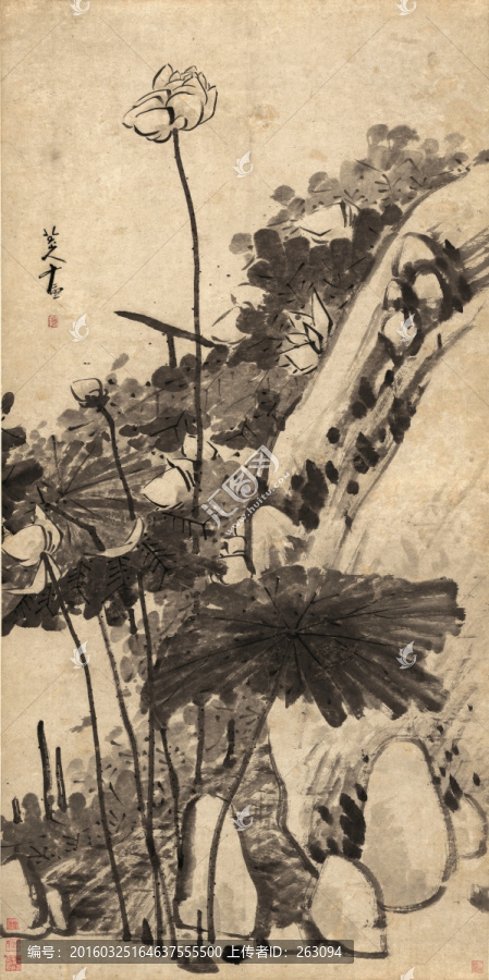 八大山人,墨荷圖,紙本
