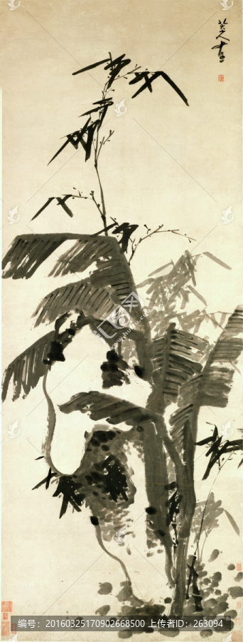 八大山人,芭蕉竹石圖,紙本