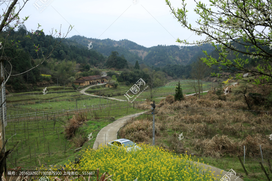 田园,风景