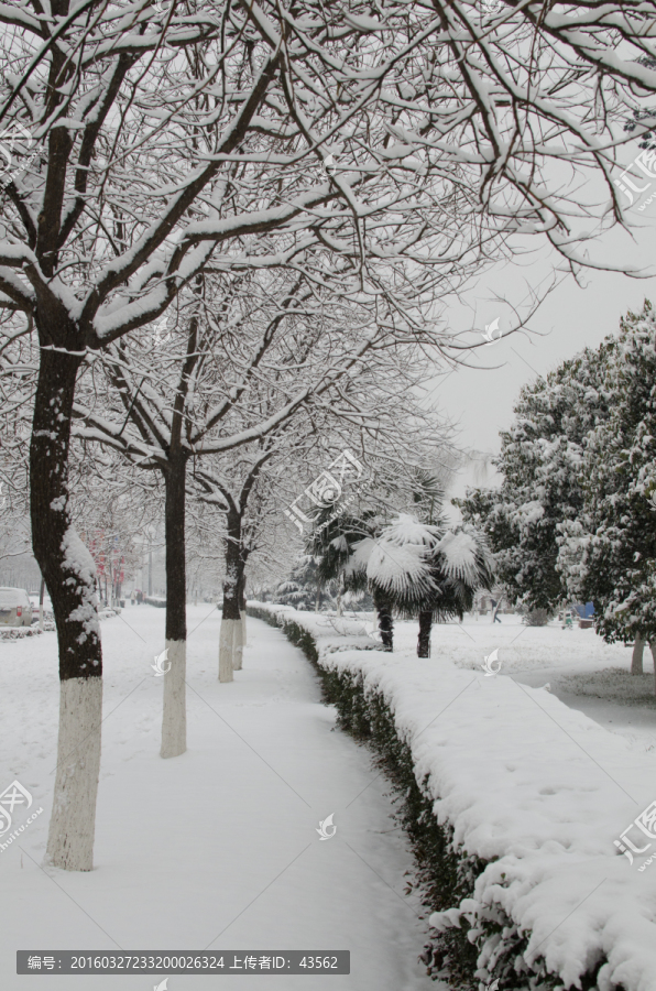 雪景