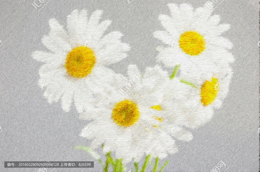 白色花朵繪畫(huà),插畫(huà),繪畫(huà)背景圖