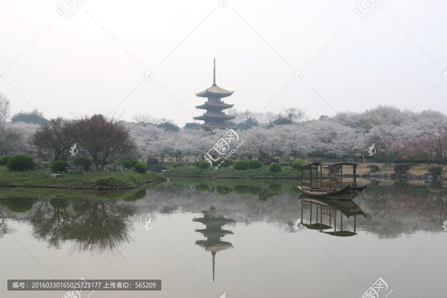 樱花园风景