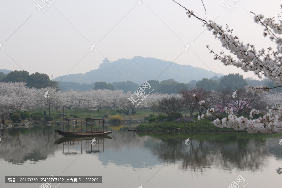 樱花园风景