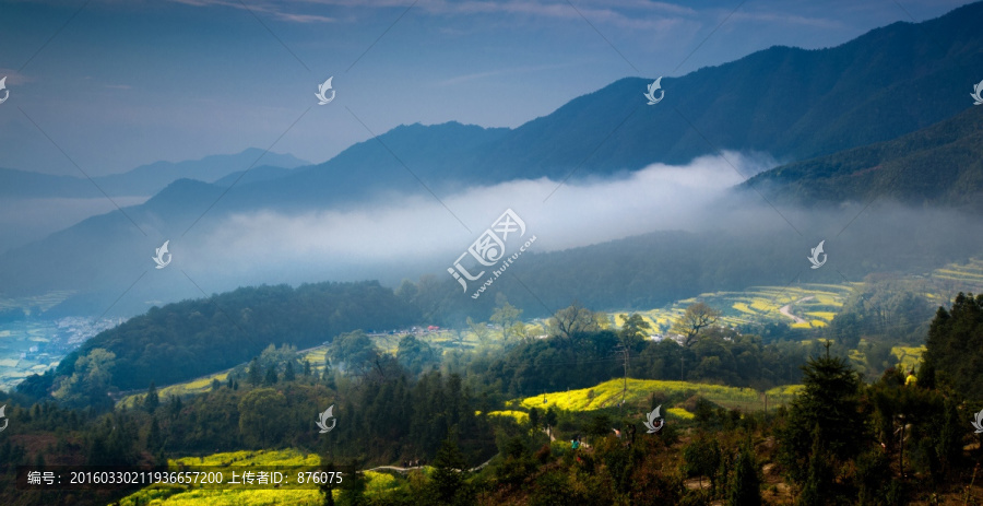 江西婺源江岭油菜花