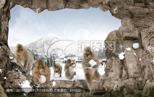 猴子打雪仗,3d畫