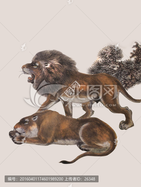 獅子插畫