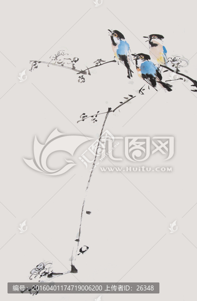 翠鳥