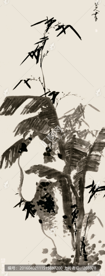 芭蕉竹石,高清精修