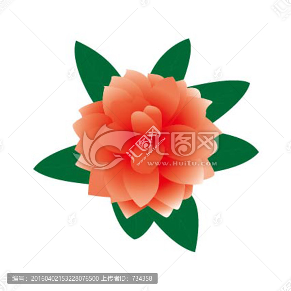 茶花