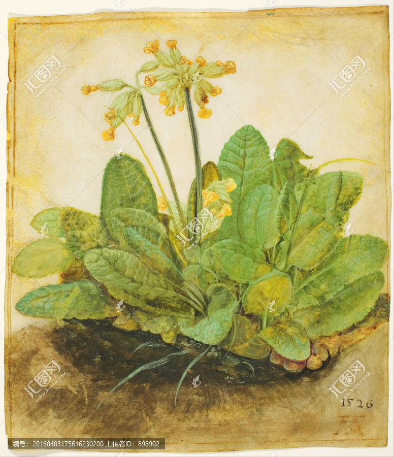 植物靜物油畫(huà)