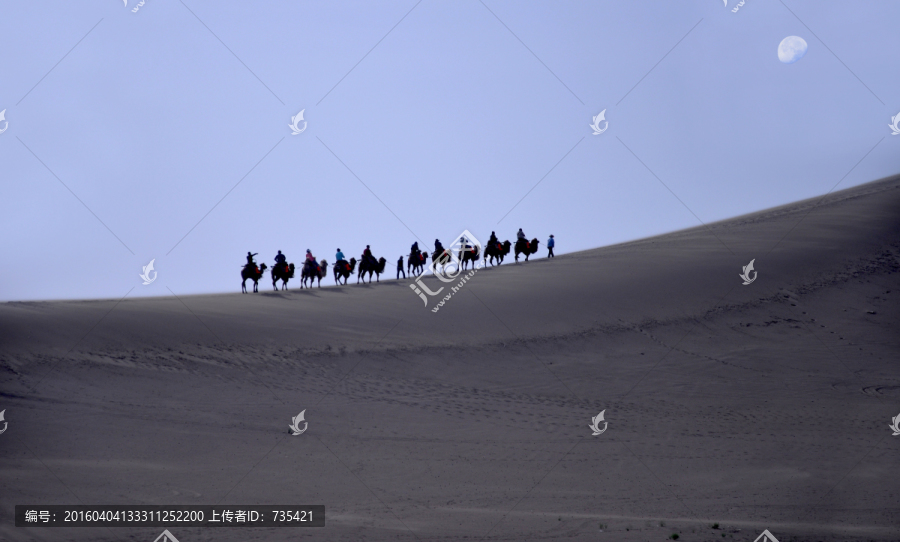 沙漠,驼队