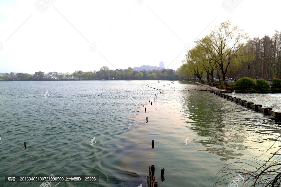 西湖晨景