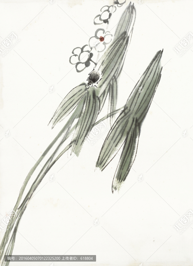 齊白石高清國畫,畫廊品質(zhì)