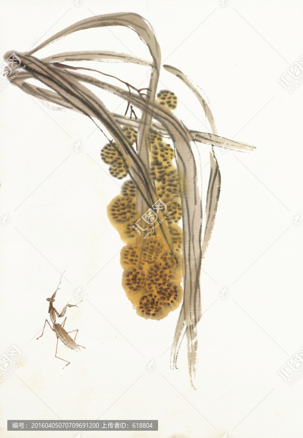 齊白石國(guó)畫(huà),原件電分掃描高清圖