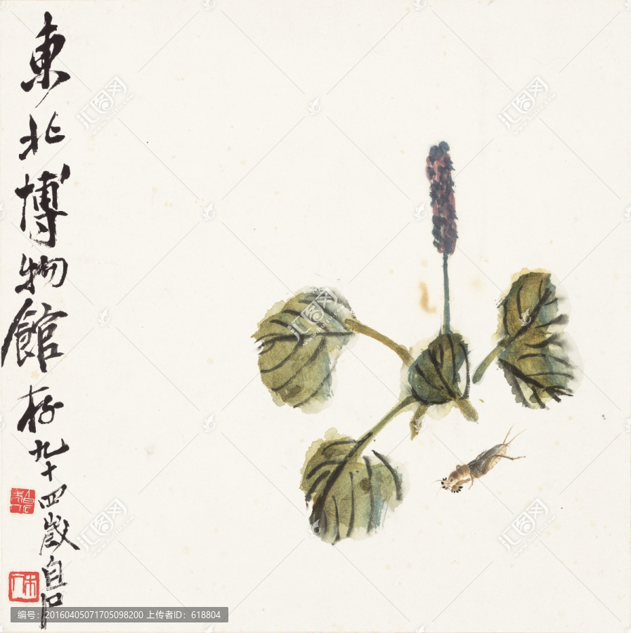 齊白石國畫作品,畫廊品質(zhì)