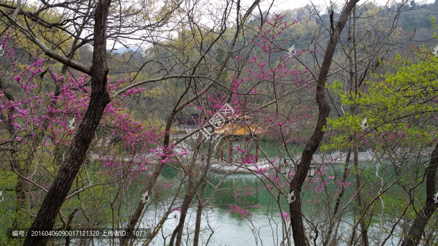 万紫千红,琅琊山景色