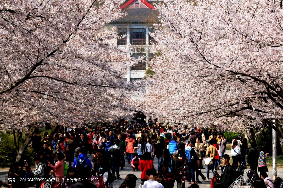 南京林业大学风光