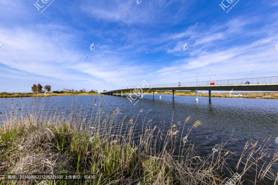 滴水湖湿地风光