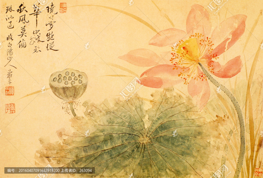 花卉國畫,國畫荷花