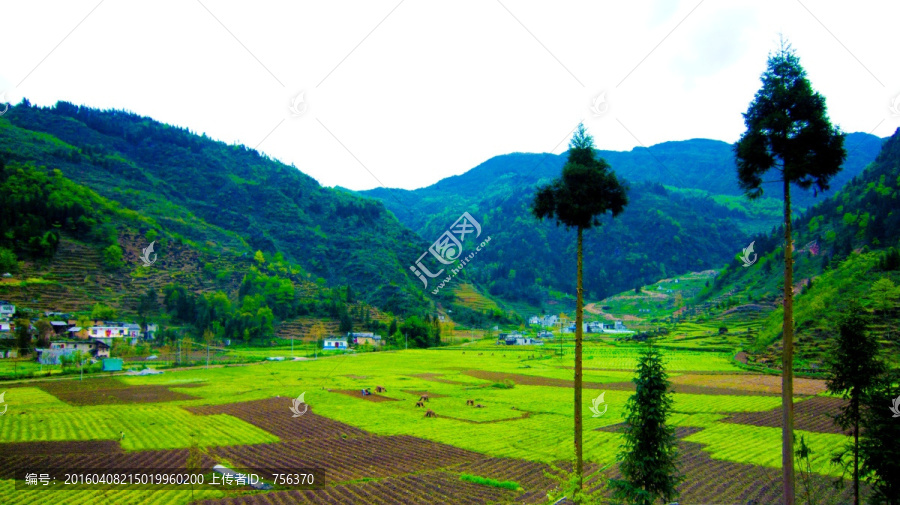 清明田野,興隆
