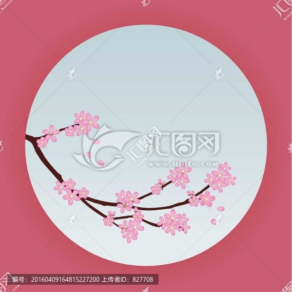 櫻花,花,花瓣,背景