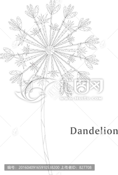 蒲公英,菊花,秘密花園,裝飾畫