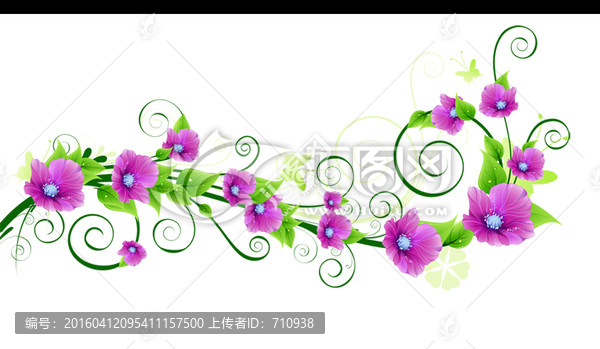 紫色花,花紋,花藤