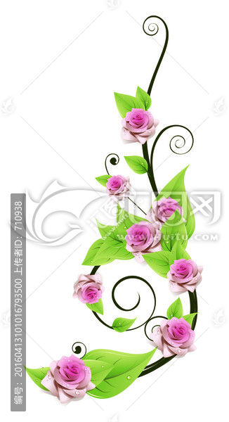 玫瑰,花邊,花藤,花紋