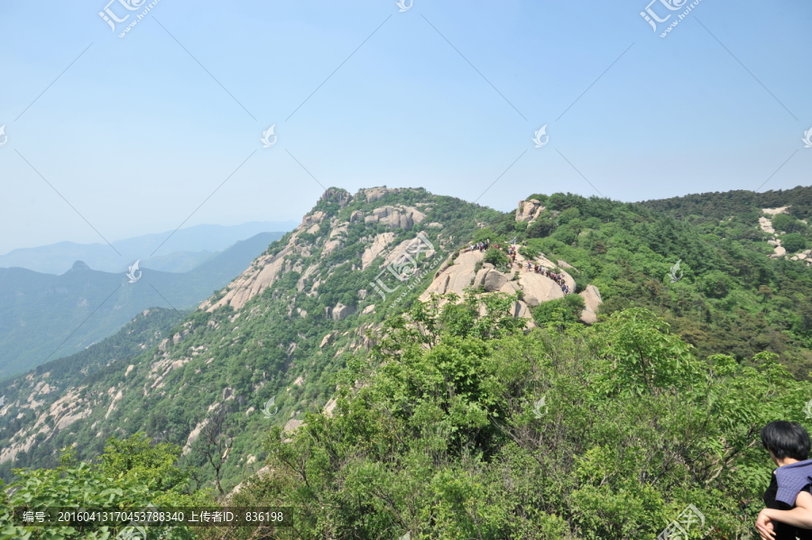 山东鲁山