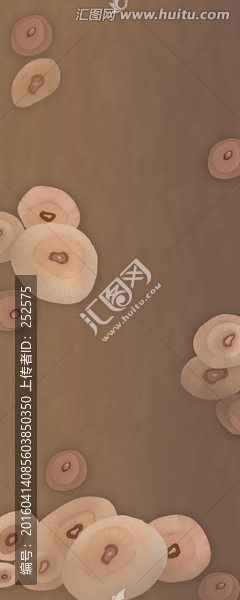 抽象蝴蝶蘭