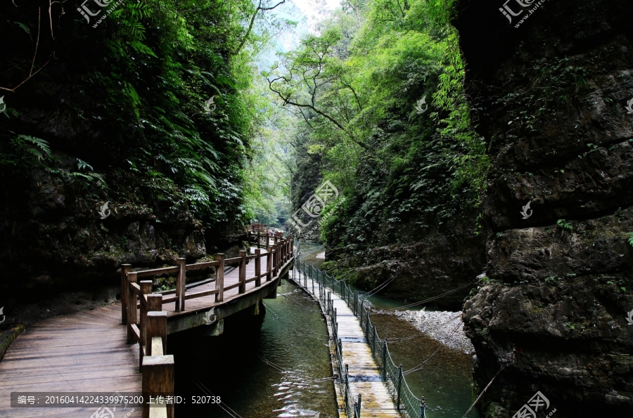 重庆,黑山谷