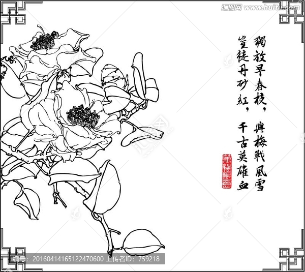 山茶花