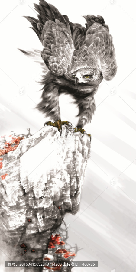 雄鷹