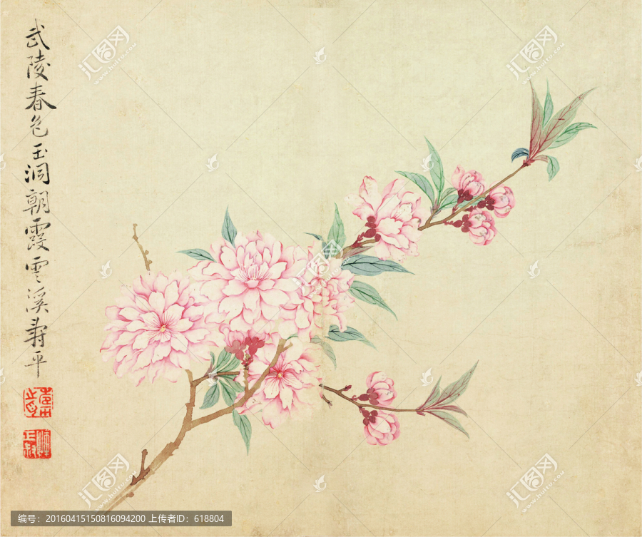 花草水墨國畫,惲南田高清掃描件