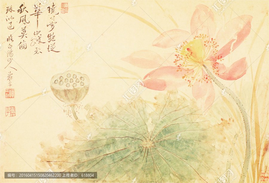 芙蓉花草水墨國(guó)畫,惲南田高清掃