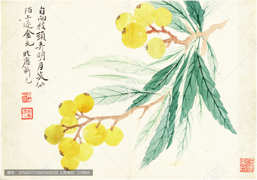 花草水墨國畫,惲南田高清掃描件