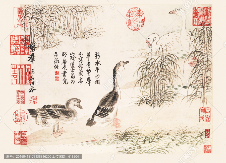 花鳥山水國畫,惲南田高清掃描件