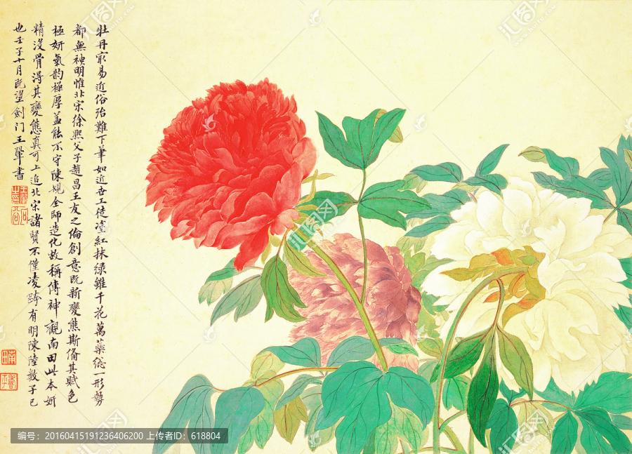 牡丹,花草國畫,惲南田高清作品