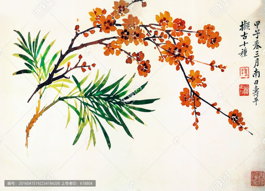 梅花國畫,惲南田高清掃描件
