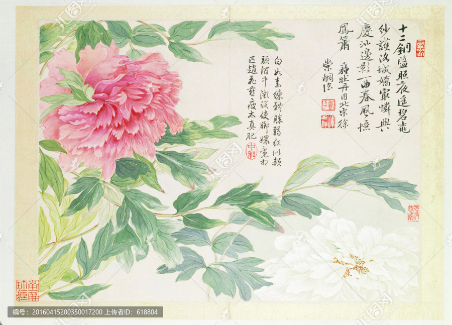 牡丹國畫,惲南田高清掃描件