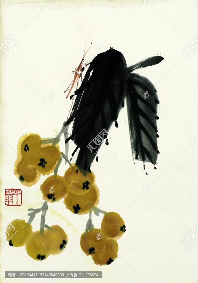 齊白石,枇杷