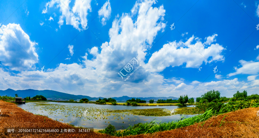 云南滇池湿地风光