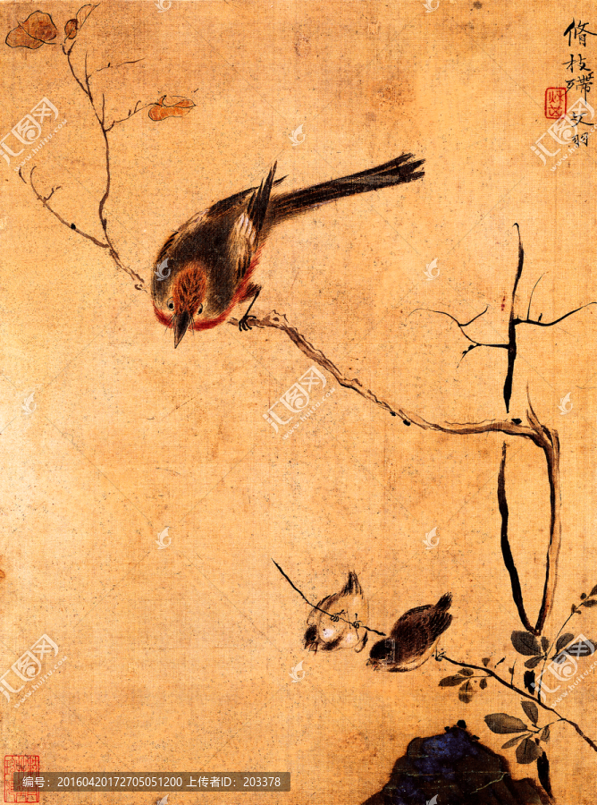 圖畫花