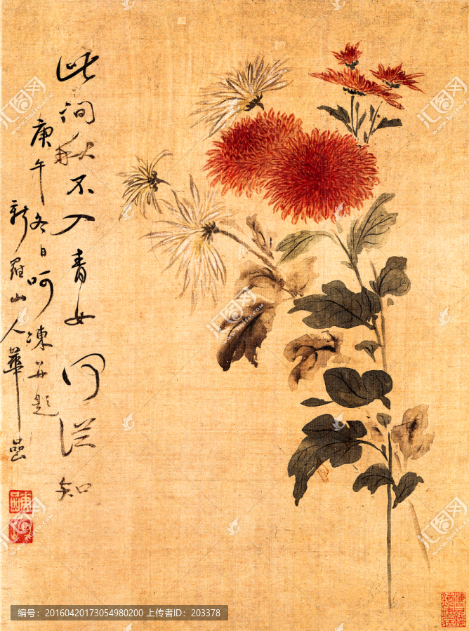 圖畫花